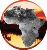 Go Africa® Kinkeliba Herbal Tea by Moriba, 20 sachets - Image 7